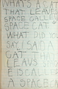 Jed: A cat that leaves space 2