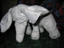 Another angle on nameless beastie